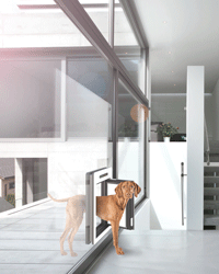 petWALK - large model for bigger dogs installed into fixed glazing